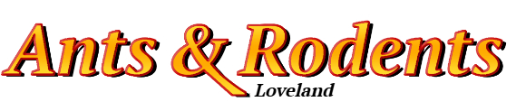 Loveland Ant Exterminator & Rodent Control Company Logo